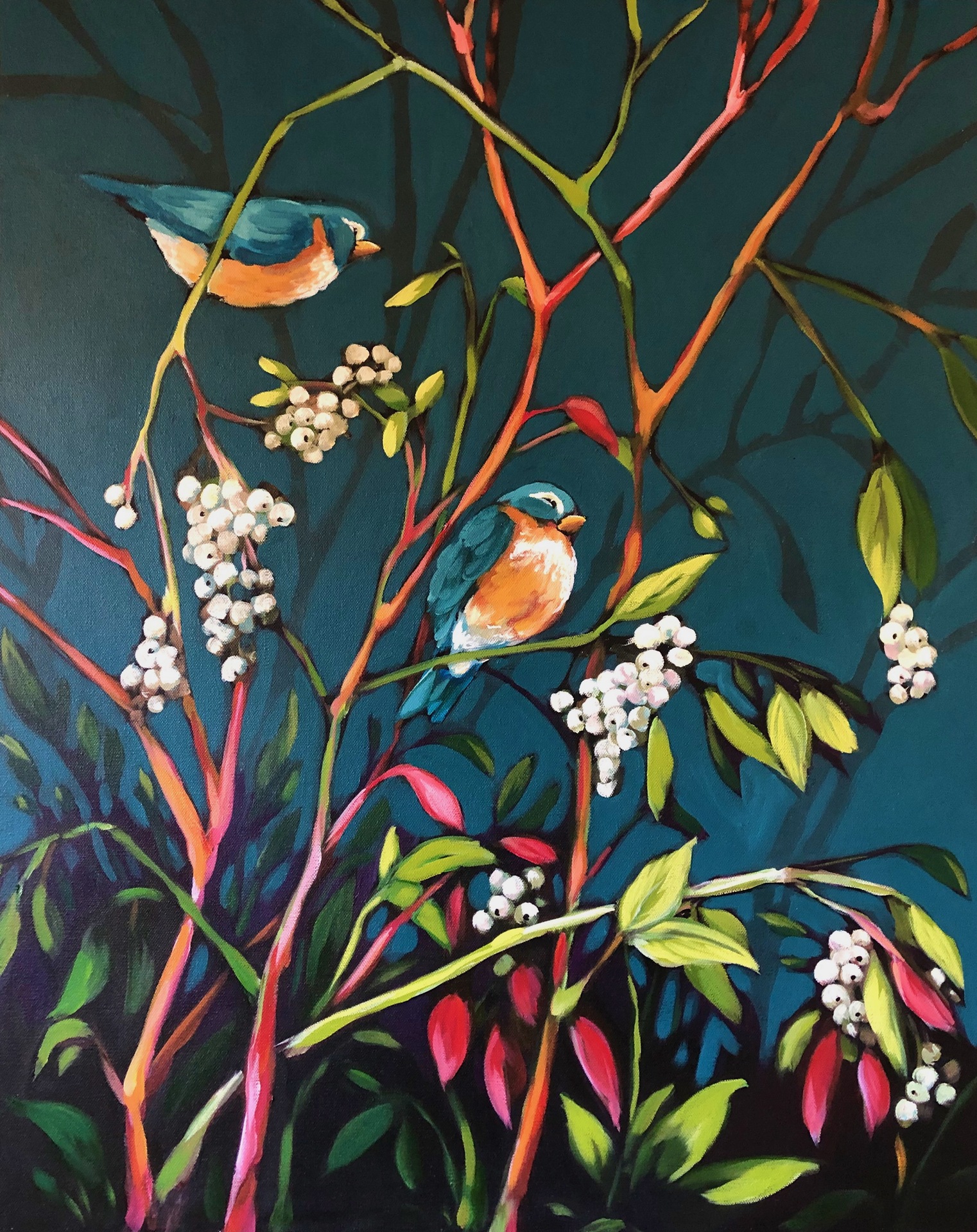 © Kaarin Nelson image copyright protected