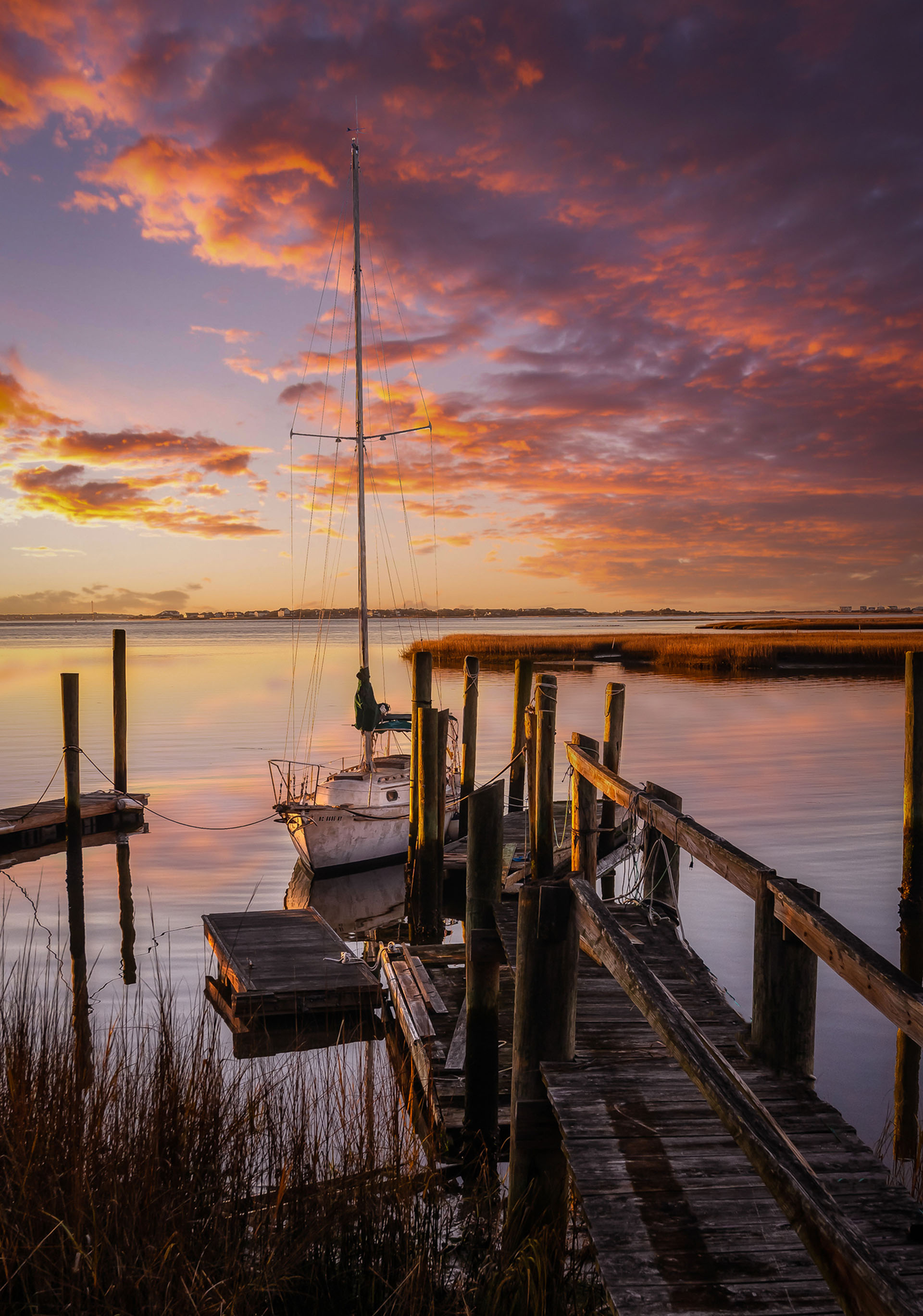 © Jeff Miller image 2022