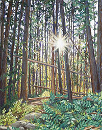 &copy; Amy Berringer