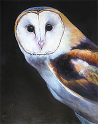 &copy; Kitty Johnson