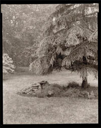 &copy; Mark Paul Thomas